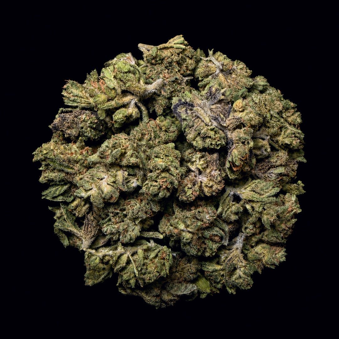 Grape Candy THCA Flower - Lost In Translation
