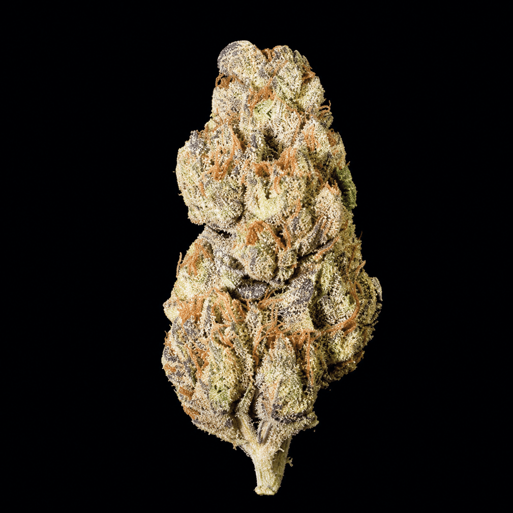 Fight Club THCA Flower - Lost In Translation