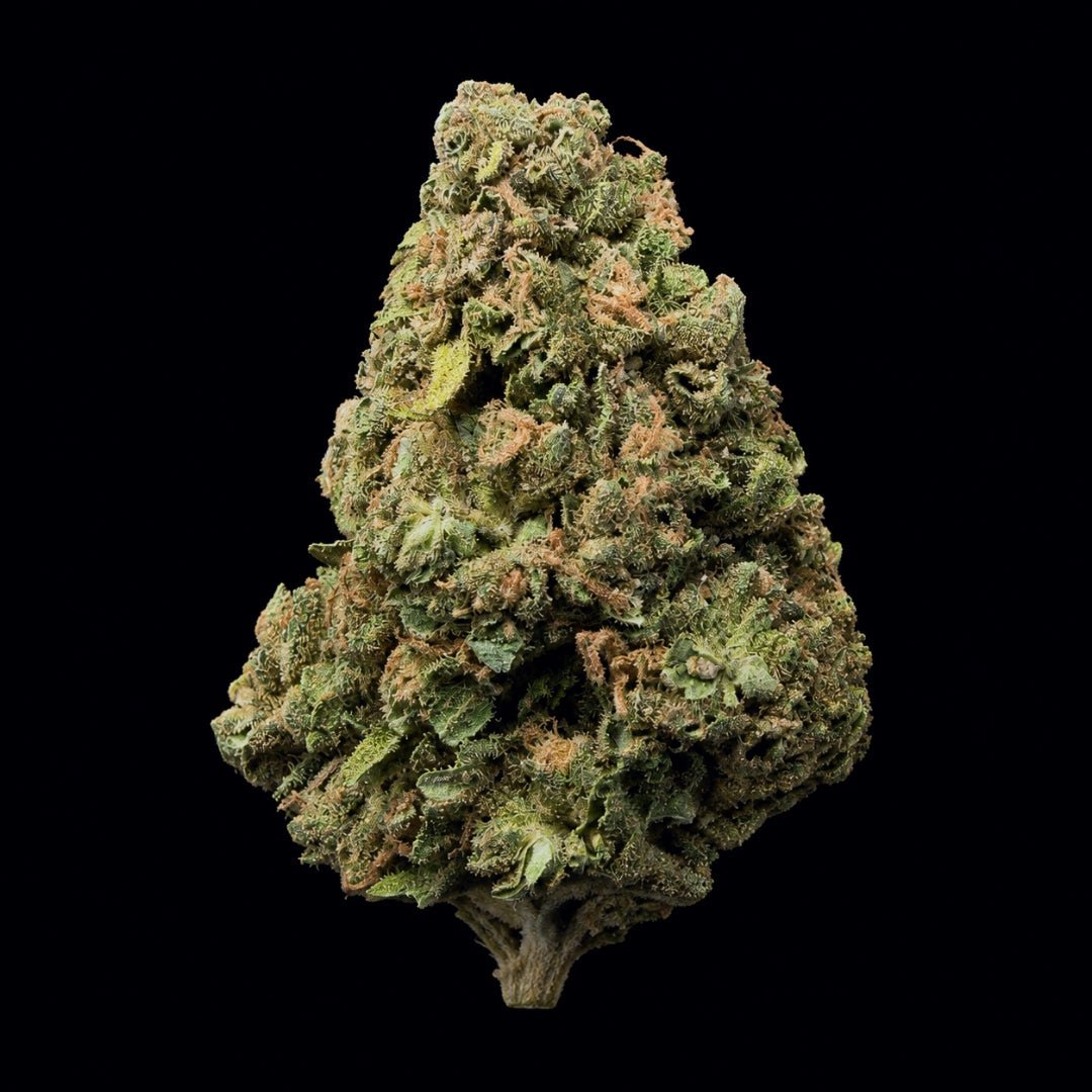 Grape Cream Cake THCA Flower - Lost In Translation
