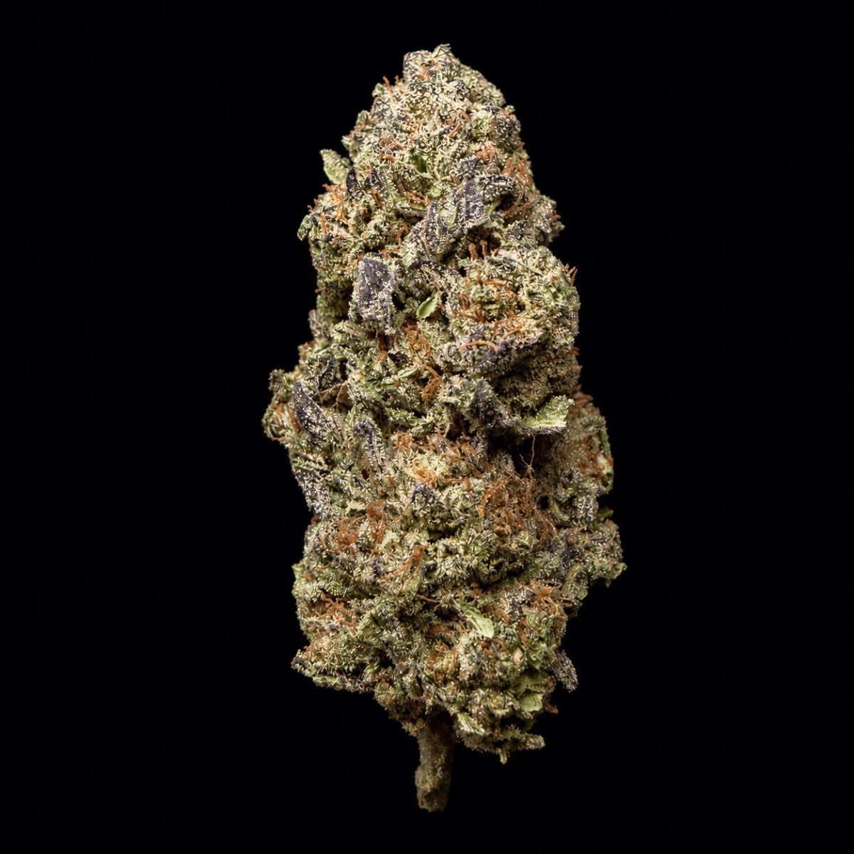Joker's Candy THCA Flower - Lost In Translation