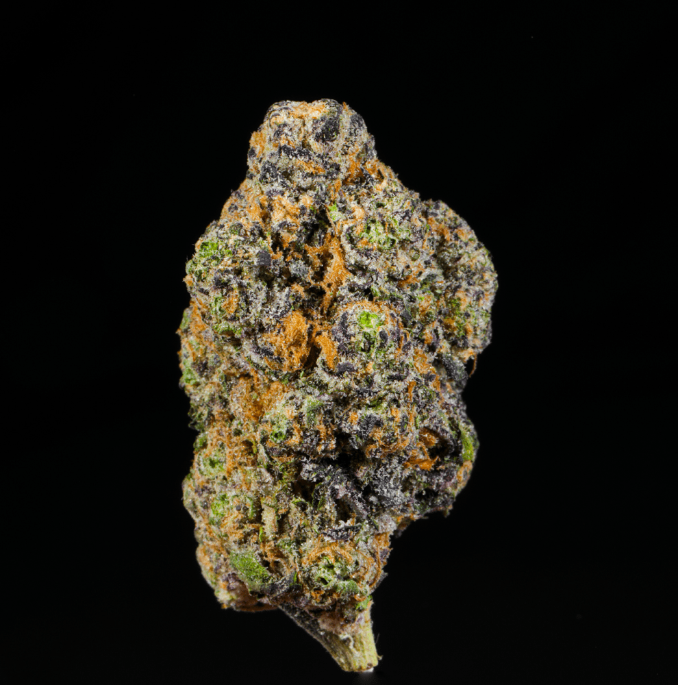 Sticky Rice THCA Flower - Lost In Translation