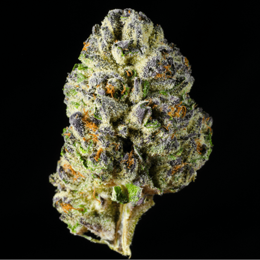 Rainbow Sherbert THCA Flower - Lost In Translation