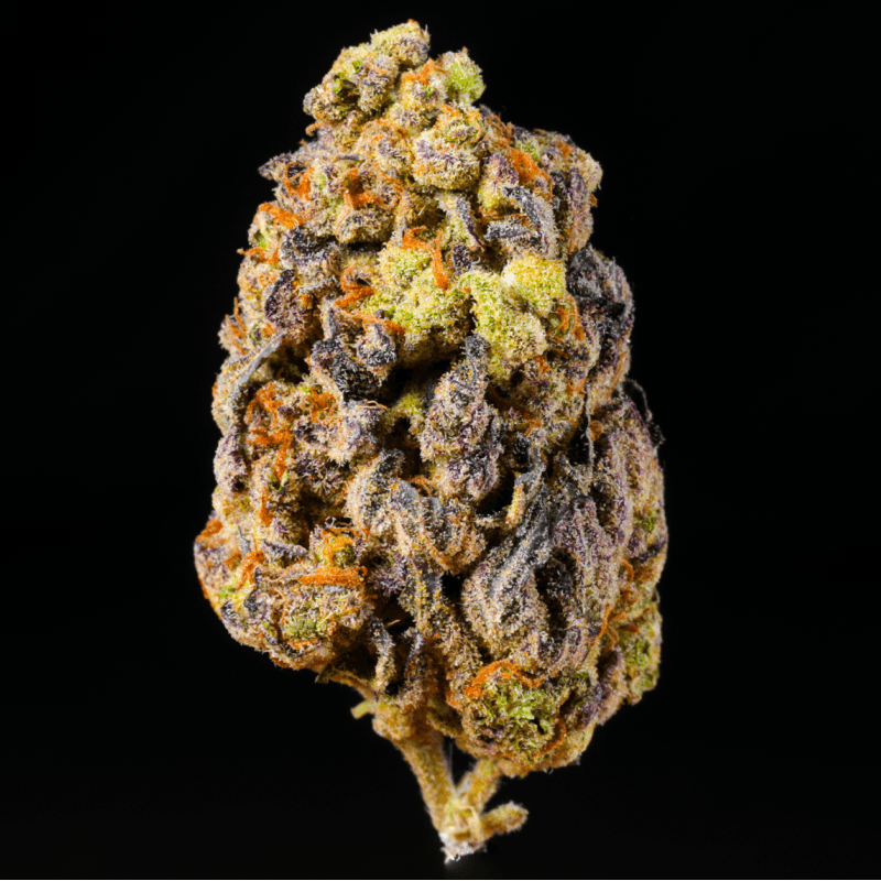 Cheetah Piss THCA Flower - Lost In Translation