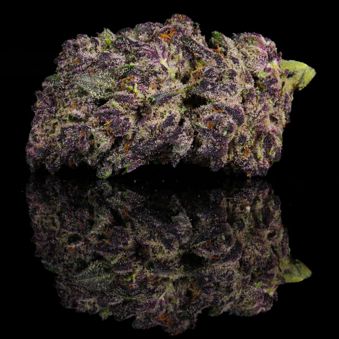 Forbidden Fruit THCA Flower - Lost In Translation