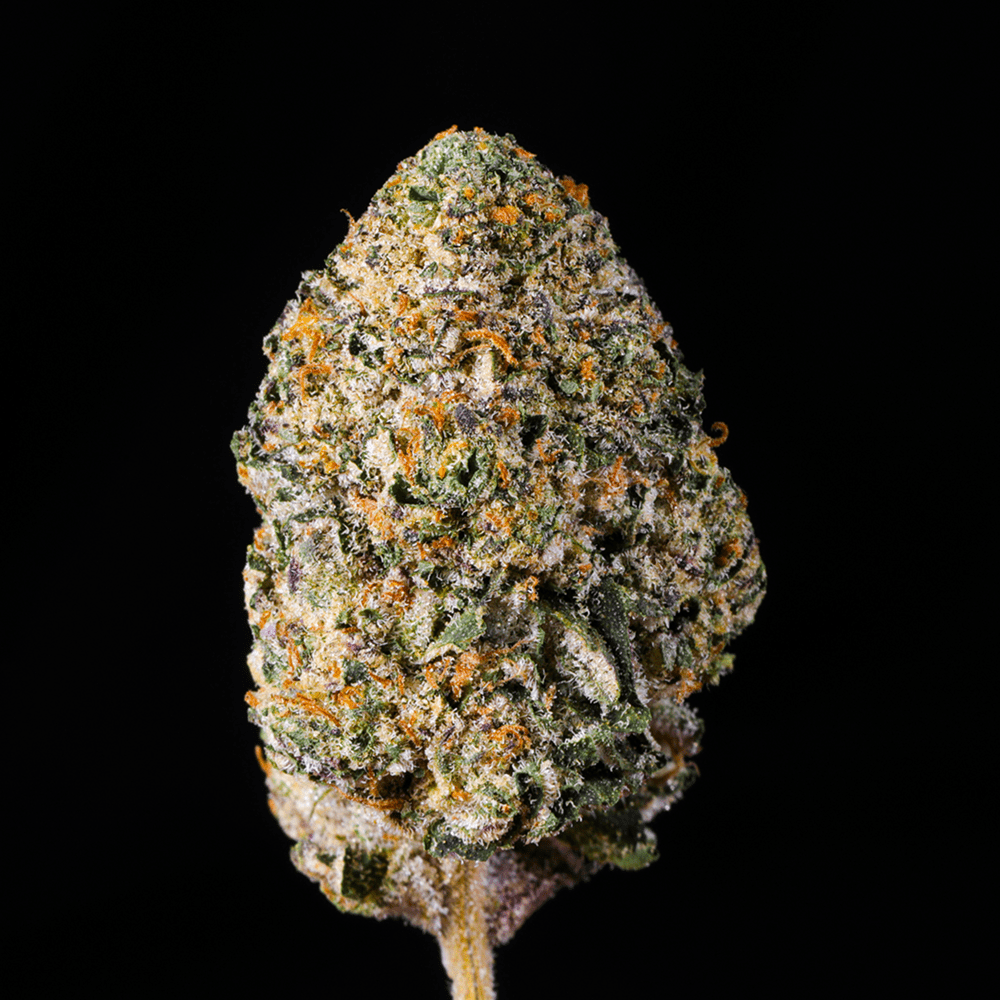 Gas Face THCA Flower - Lost In Translation