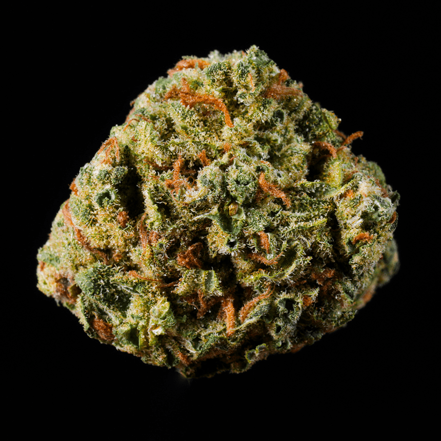 Jolly Rancher THCA Flower - Lost In Translation