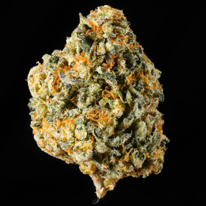 Sweet Tart THCA Flower - Lost In Translation