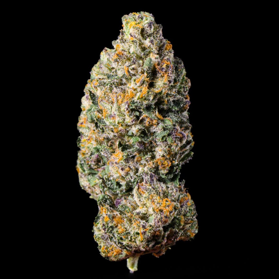 Cookies and Cream THCA Flower - Lost In Translation