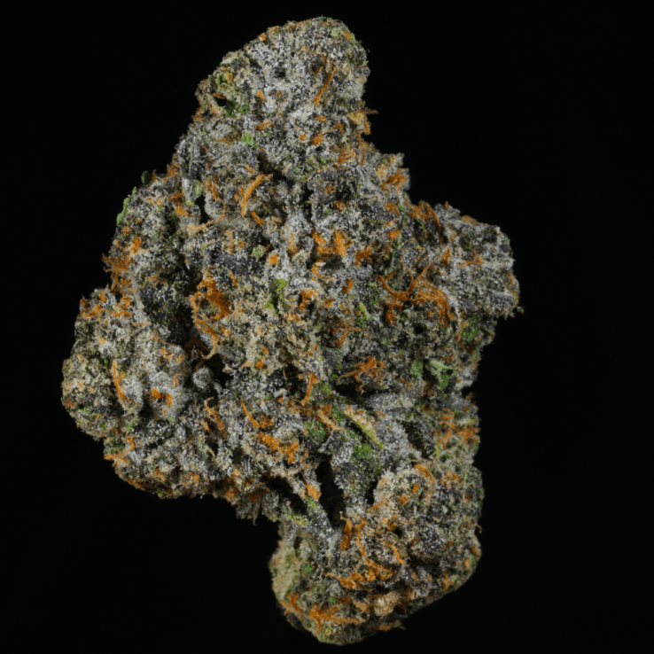 Lemon Cherry Gelato BX1 THCA Flower - Lost In Translation