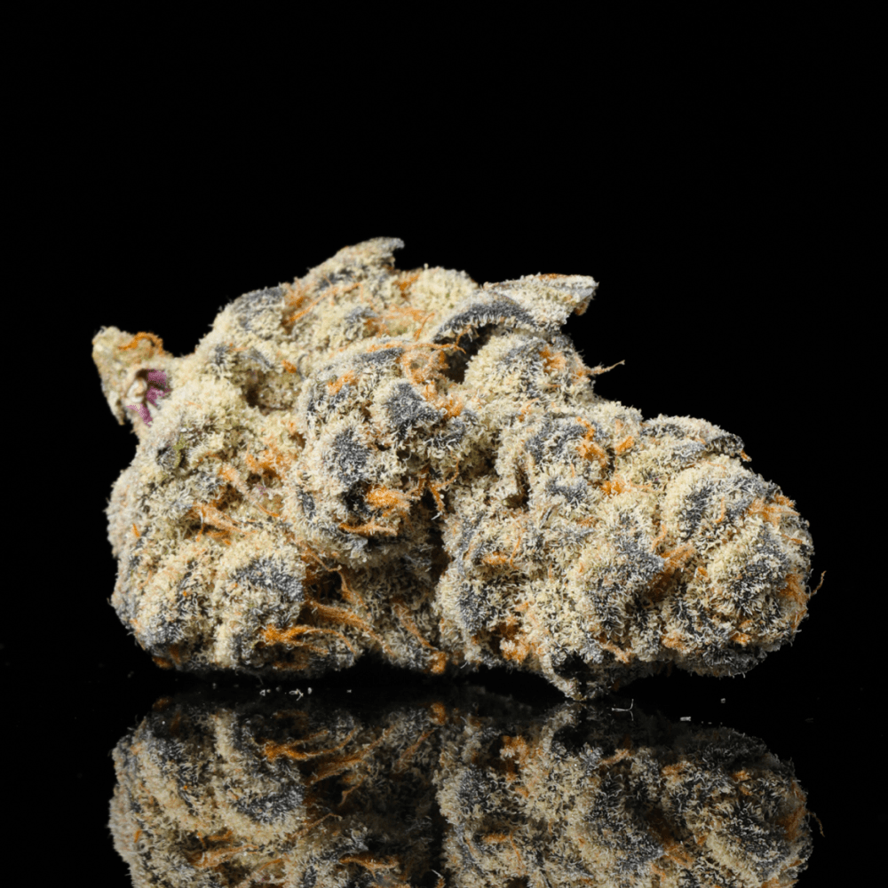 Glitter Bomb THCA Flower - Lost In Translation