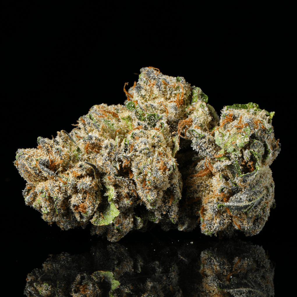 Fire Crotch THCA Flower - Lost In Translation