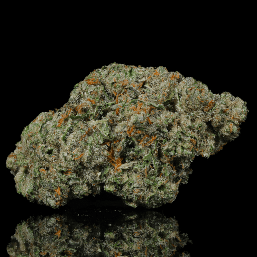 Sweet Cheese THCA Flower - Lost In Translation