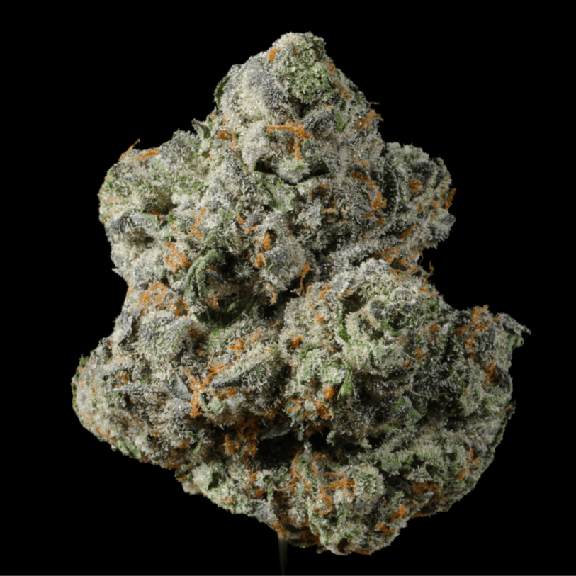 Apple Fritter THCA Flower - Lost In Translation