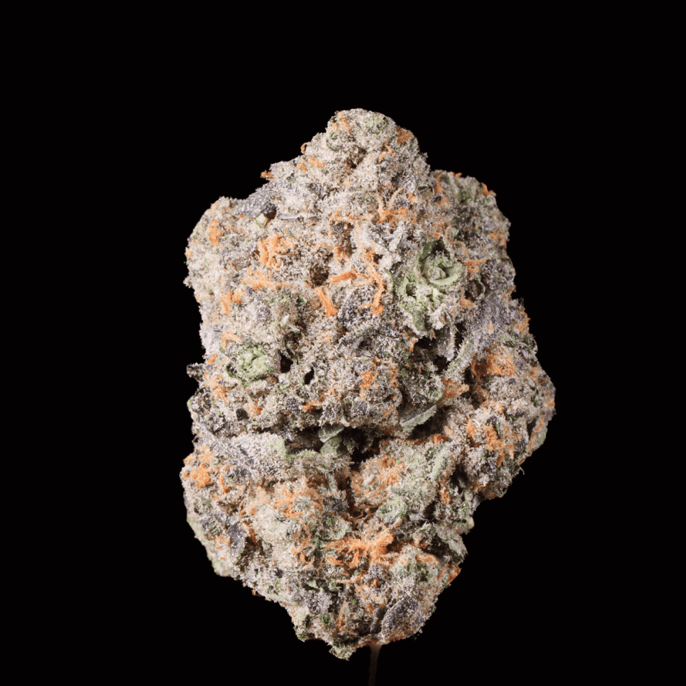 Red Velvet Gary THCA Flower - Lost In Translation