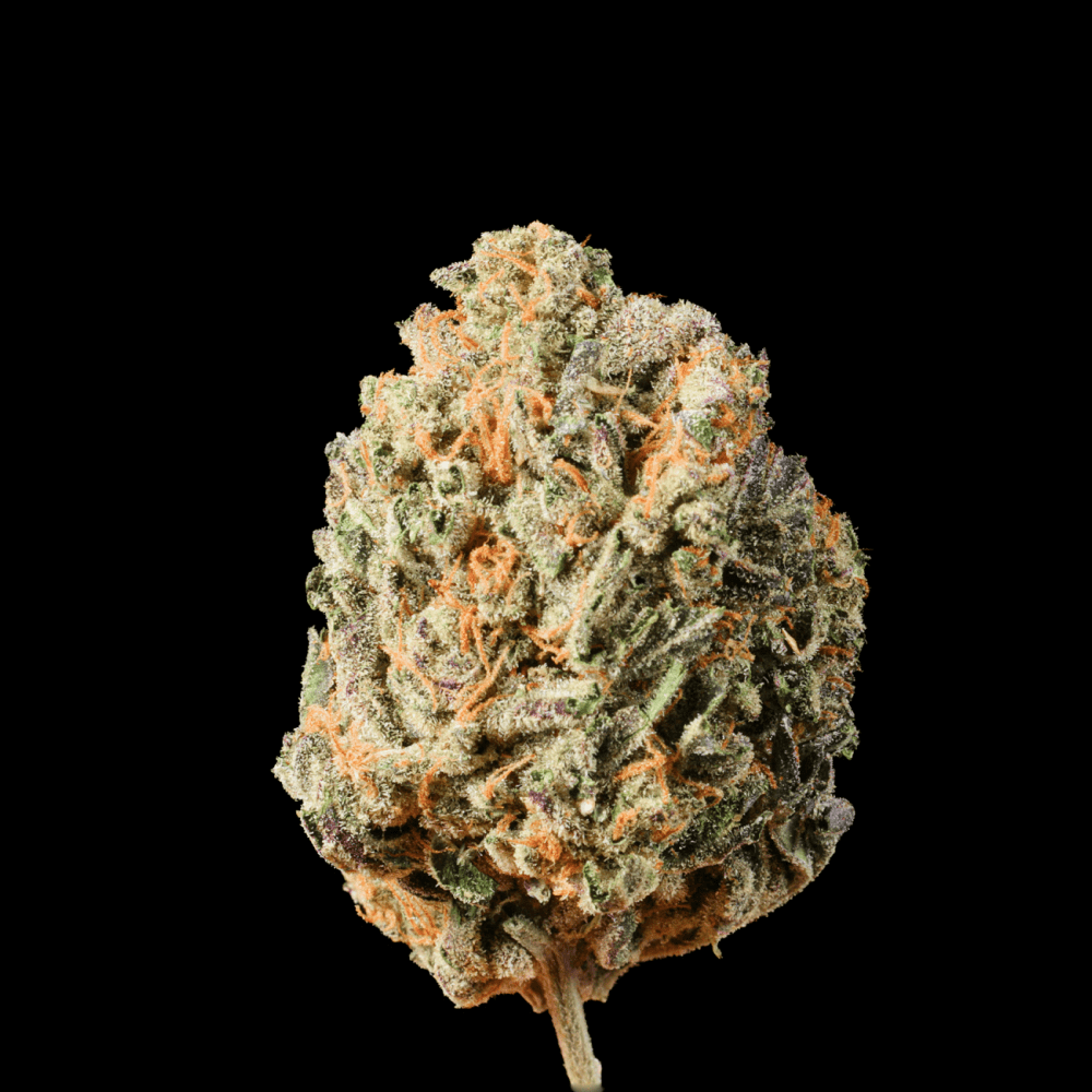 Apple Banana Zoap THCA Flower - Lost In Translation