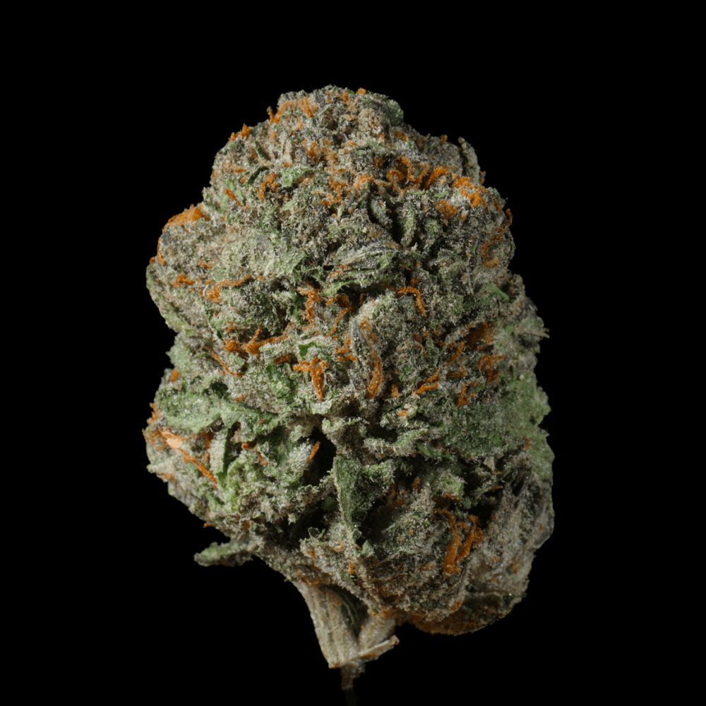 Gush Mintz THCA Flower - Lost In Translation