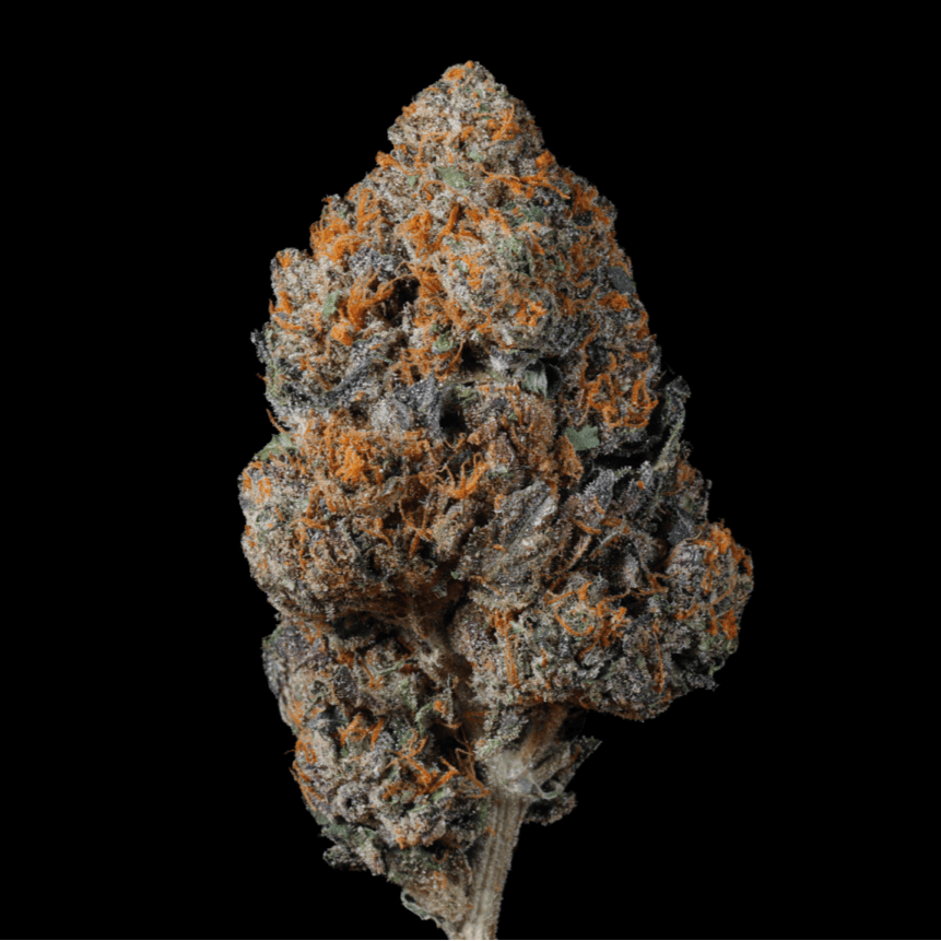 Glitter Bomb THCA Flower - Lost In Translation