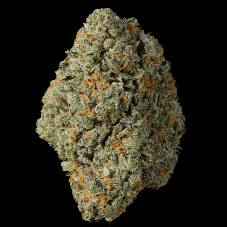 Peanut Butter Breath THCA Flower - Lost In Translation