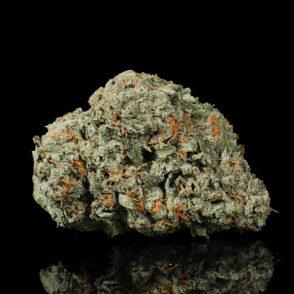 Gelato 41 THCA Flower - Lost In Translation