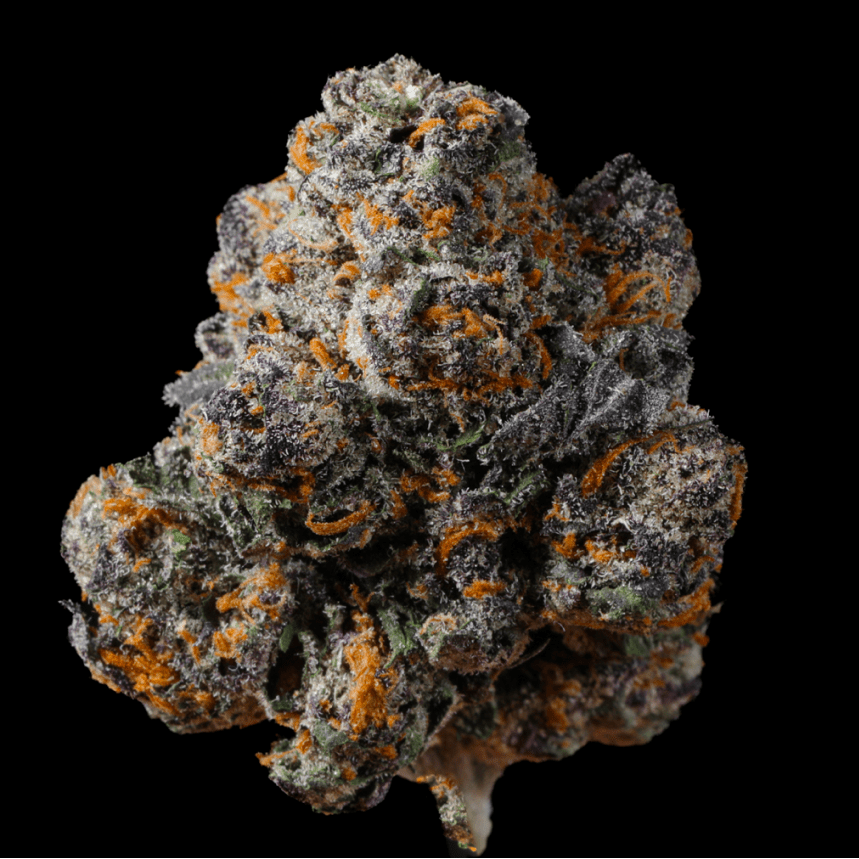 RS - 11 THCA Flower - Lost In Translation