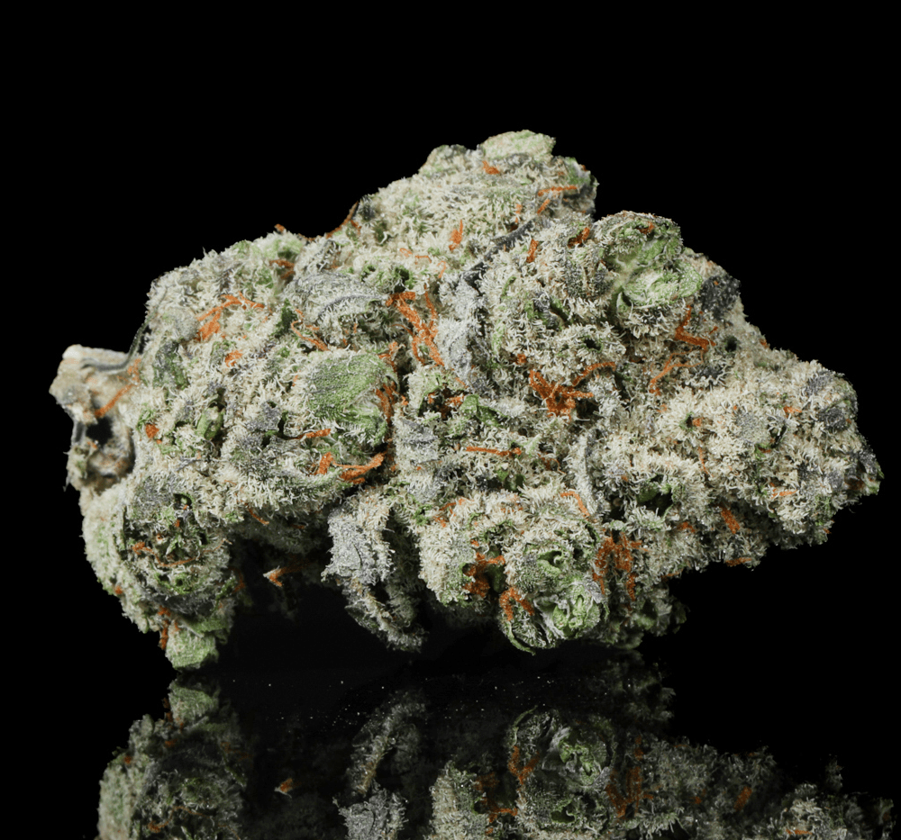 White Iverson THCA Flower - Lost In Translation