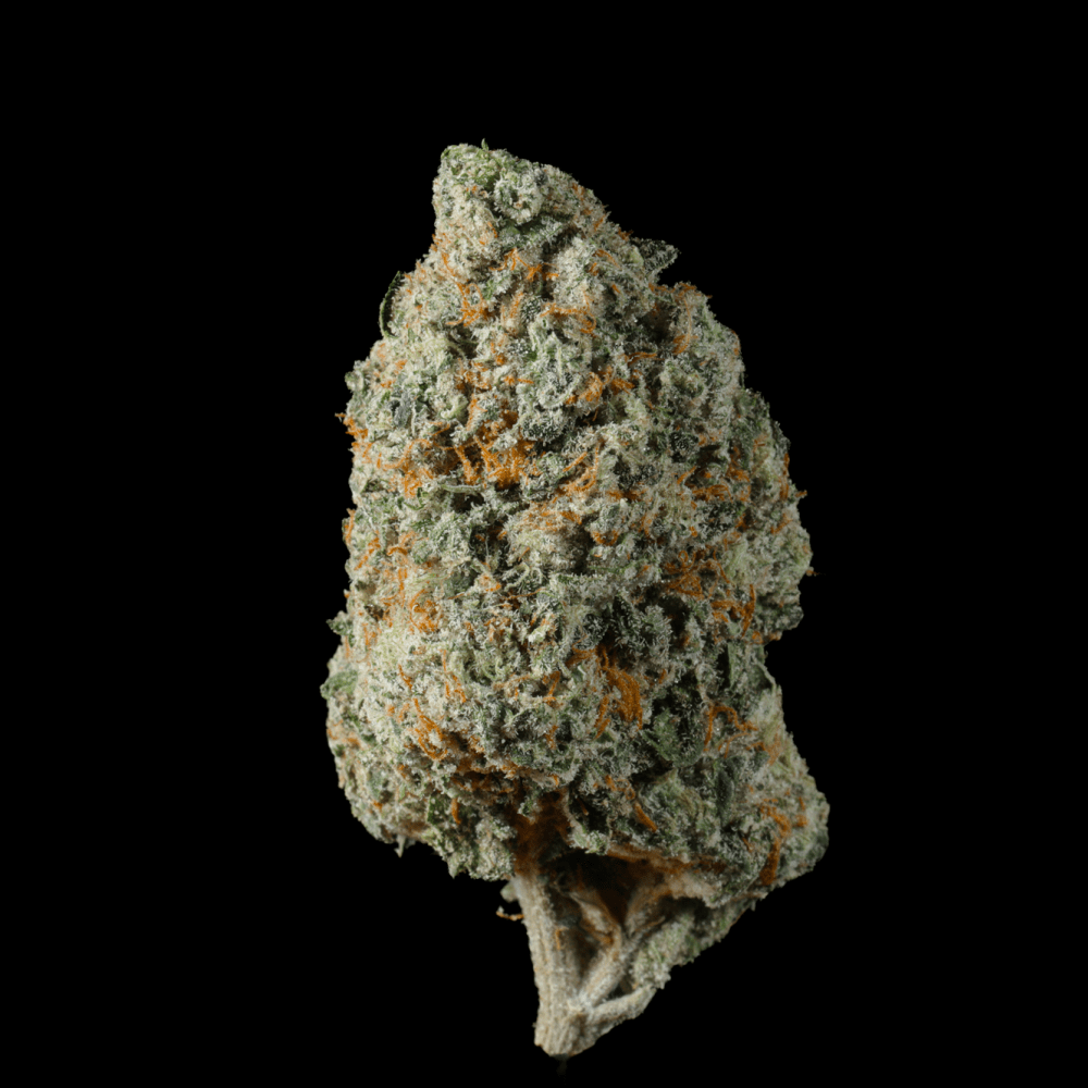 Grease Monkey THCA Flower - Lost In Translation