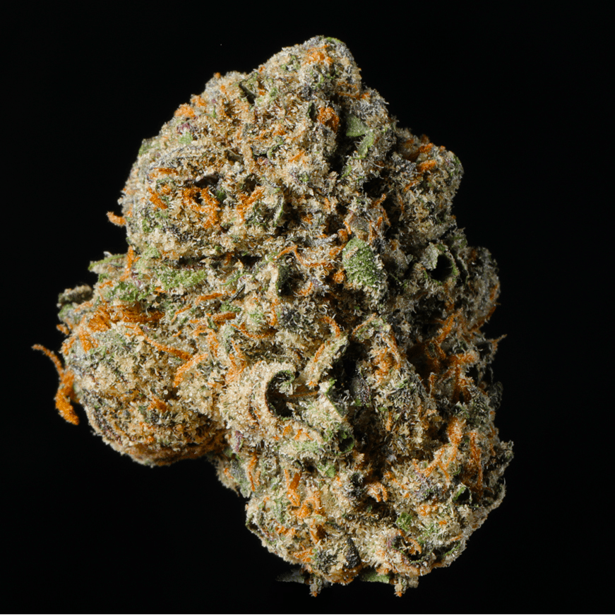 Obama Runtz THCA Flower - Lost In Translation