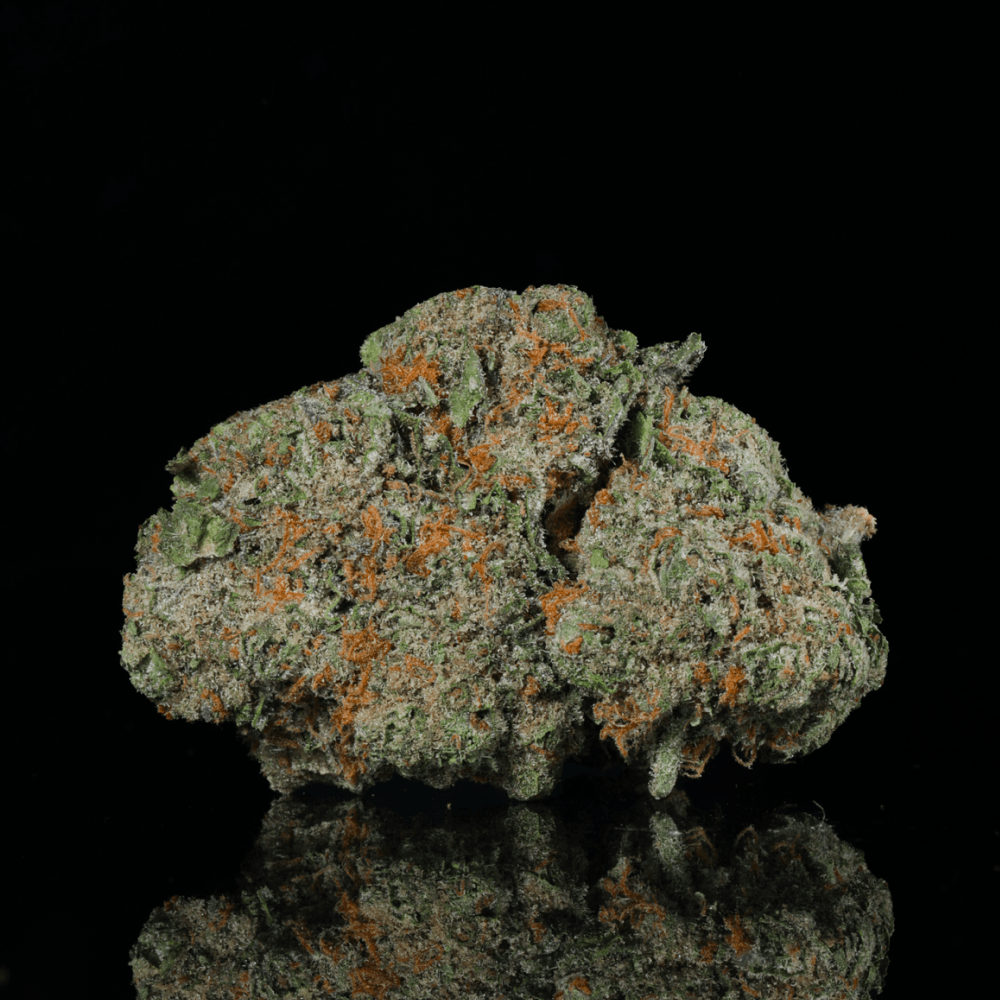 Gushers THCA Flower - Lost In Translation