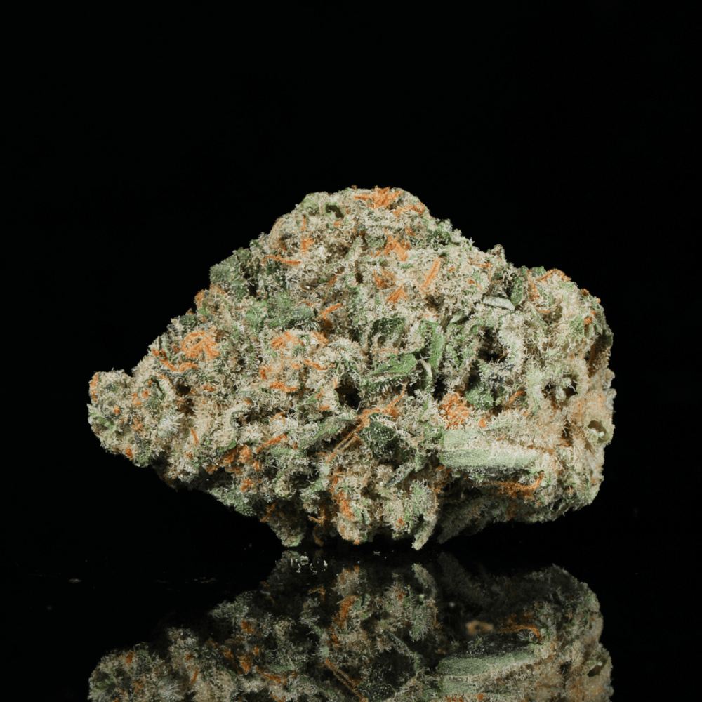 Pave THCA Flower - Lost In Translation