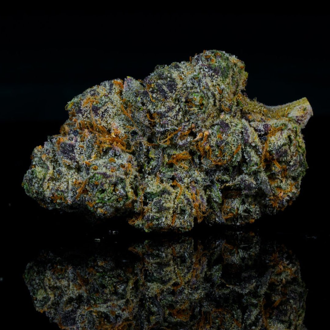 Black Runtz THCA Flower - Lost In Translation