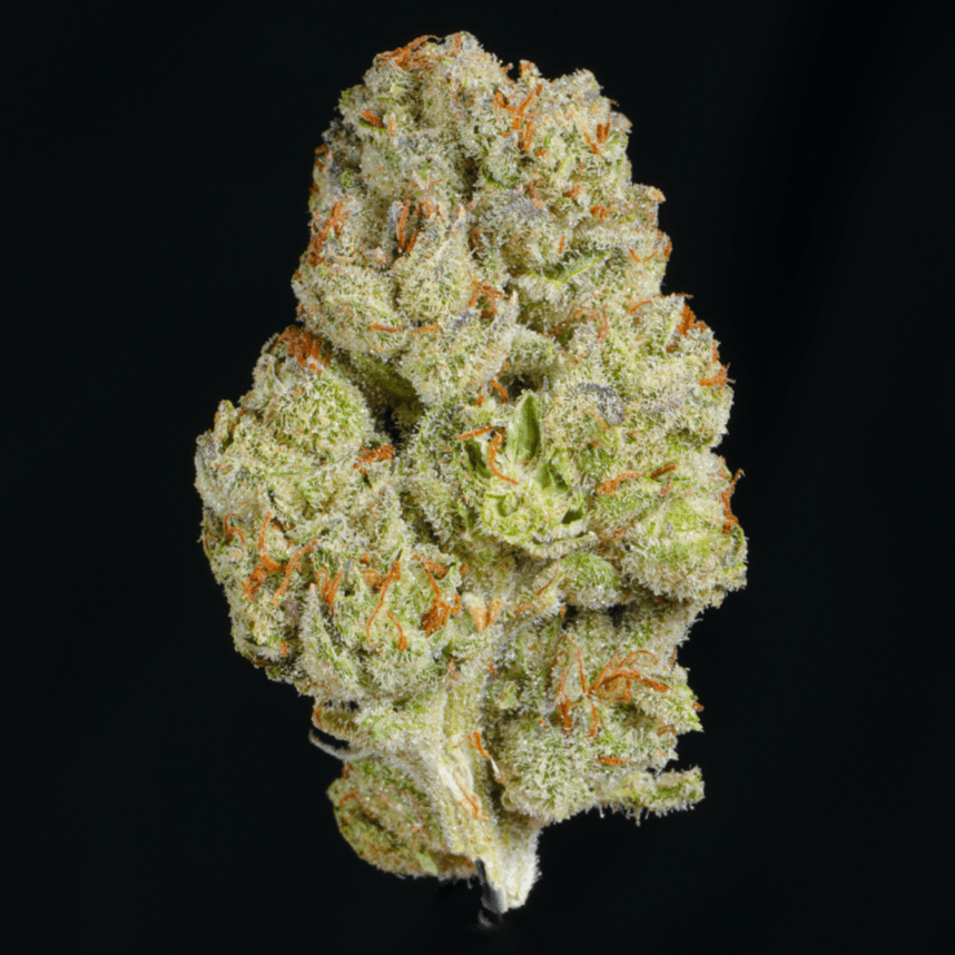 LIT OG THCA Flower - Lost In Translation