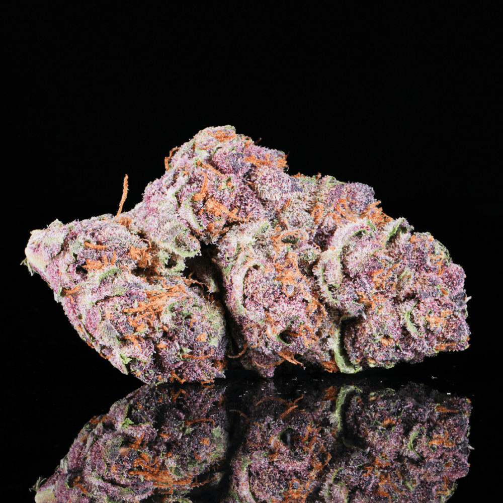 Tropical Runtz THCA Flower - Lost In Translation