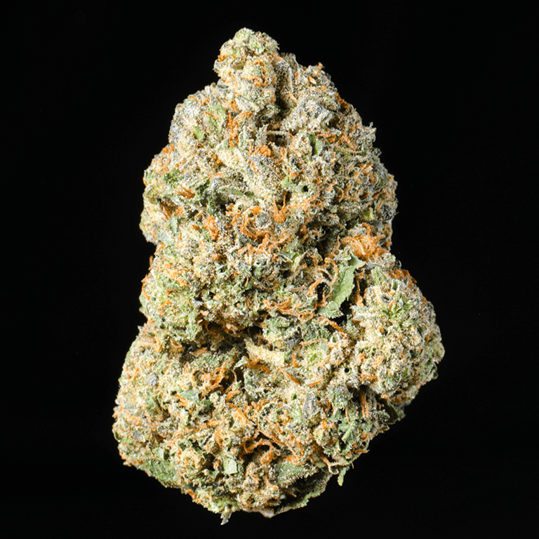 Watermelon Mimosa THCA Flower - Lost In Translation