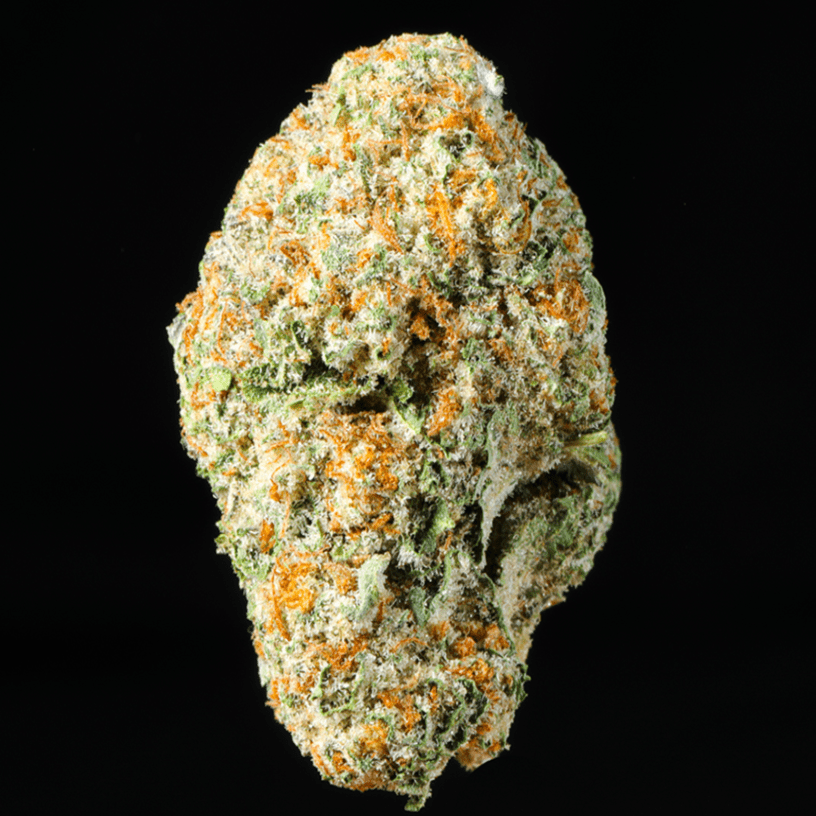 Melonatta THCA Flower - Lost In Translation