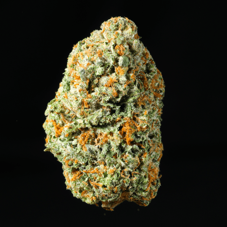 Gelato 41 THCA Flower - Lost In Translation