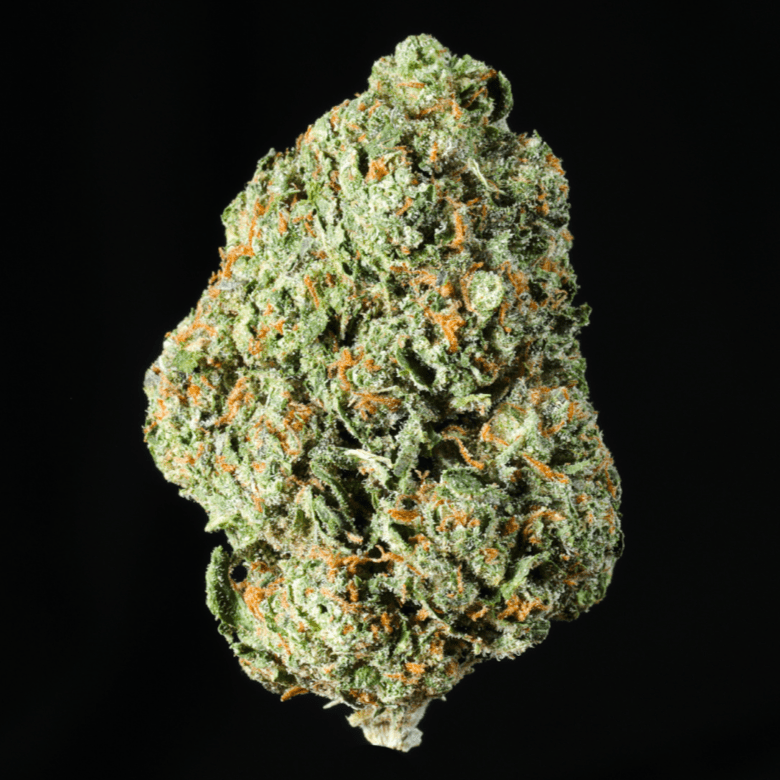 Blueberry Pancakes THCA Flower - Lost In Translation