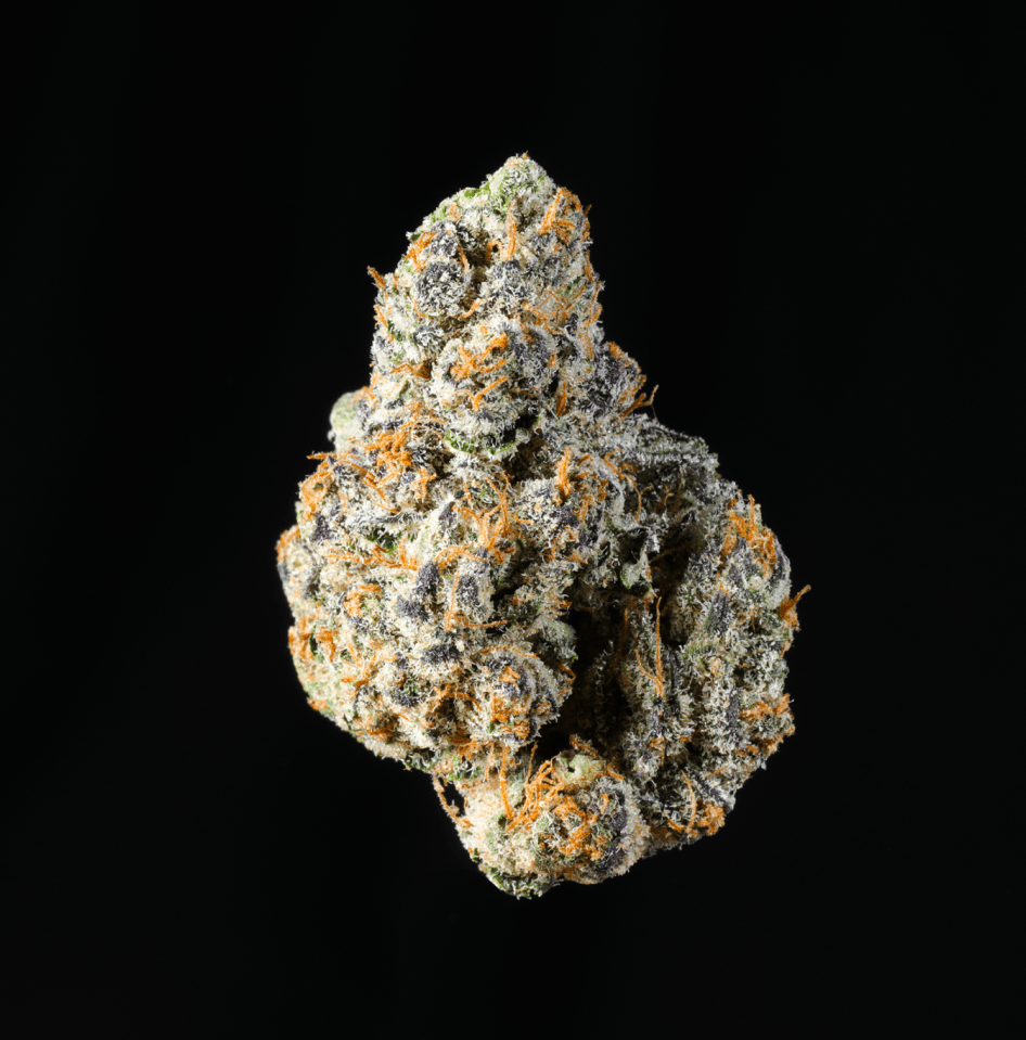 Bangkok Purple THCA Flower - Lost In Translation