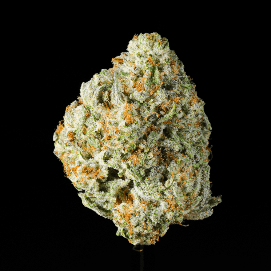 Bath Saltz THCA Flower - Lost In Translation