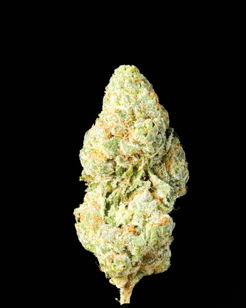 Gelato 33 THCA Flower - Lost In Translation