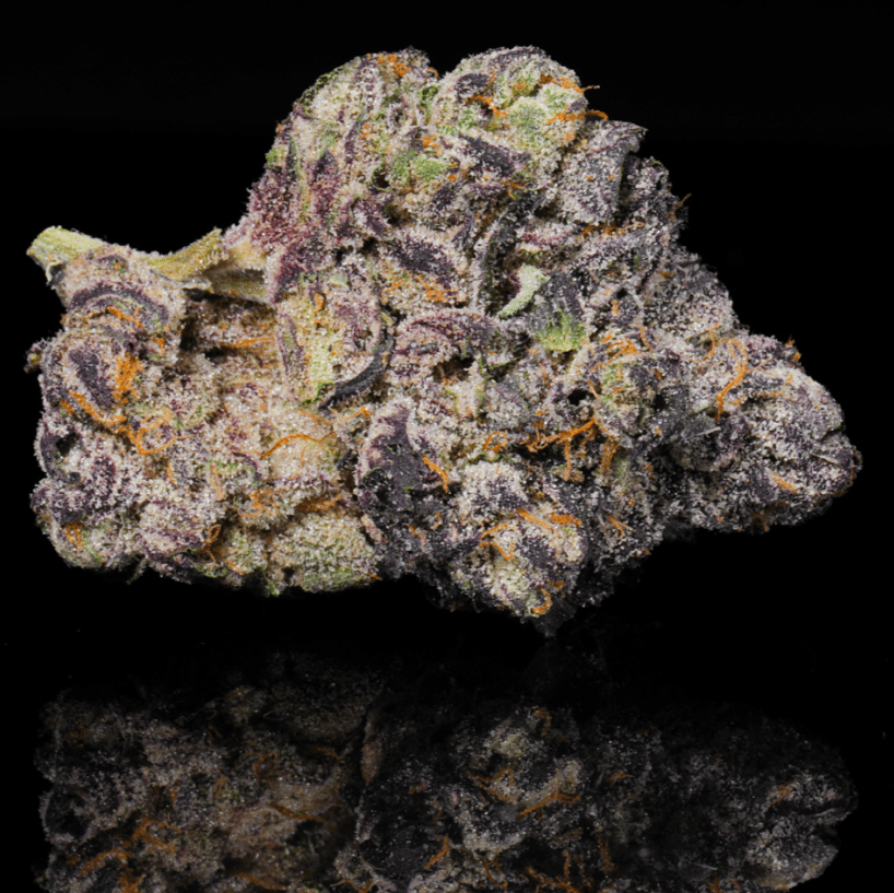 Glitter Bomb THCA Flower - Lost In Translation