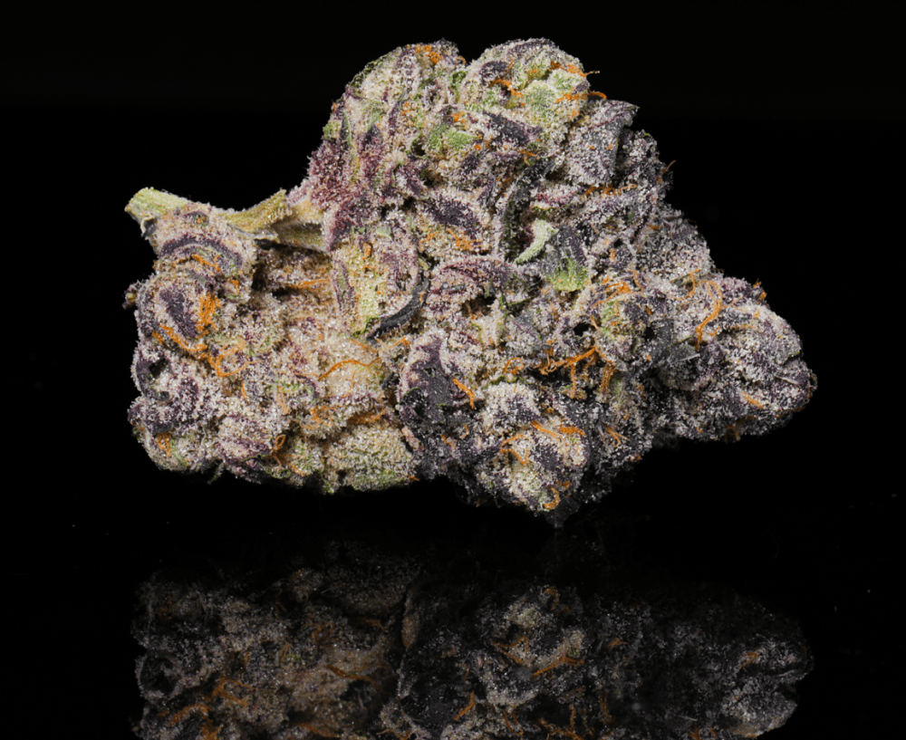 Glitter Bomb THCA Flower - Lost In Translation