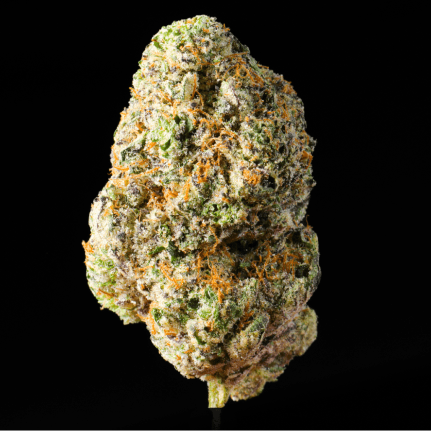 LIT OG THCA Flower - Lost In Translation