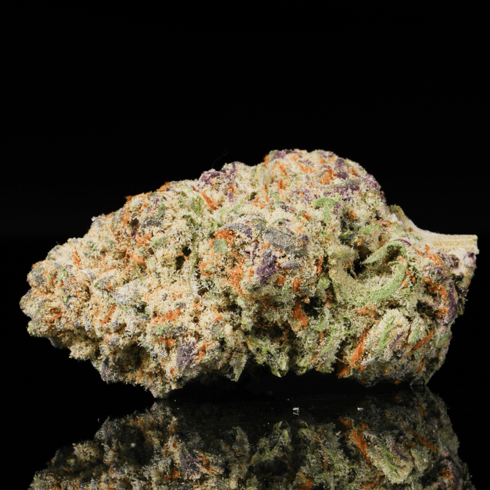 Jolly Rancher THCA Flower - Lost In Translation