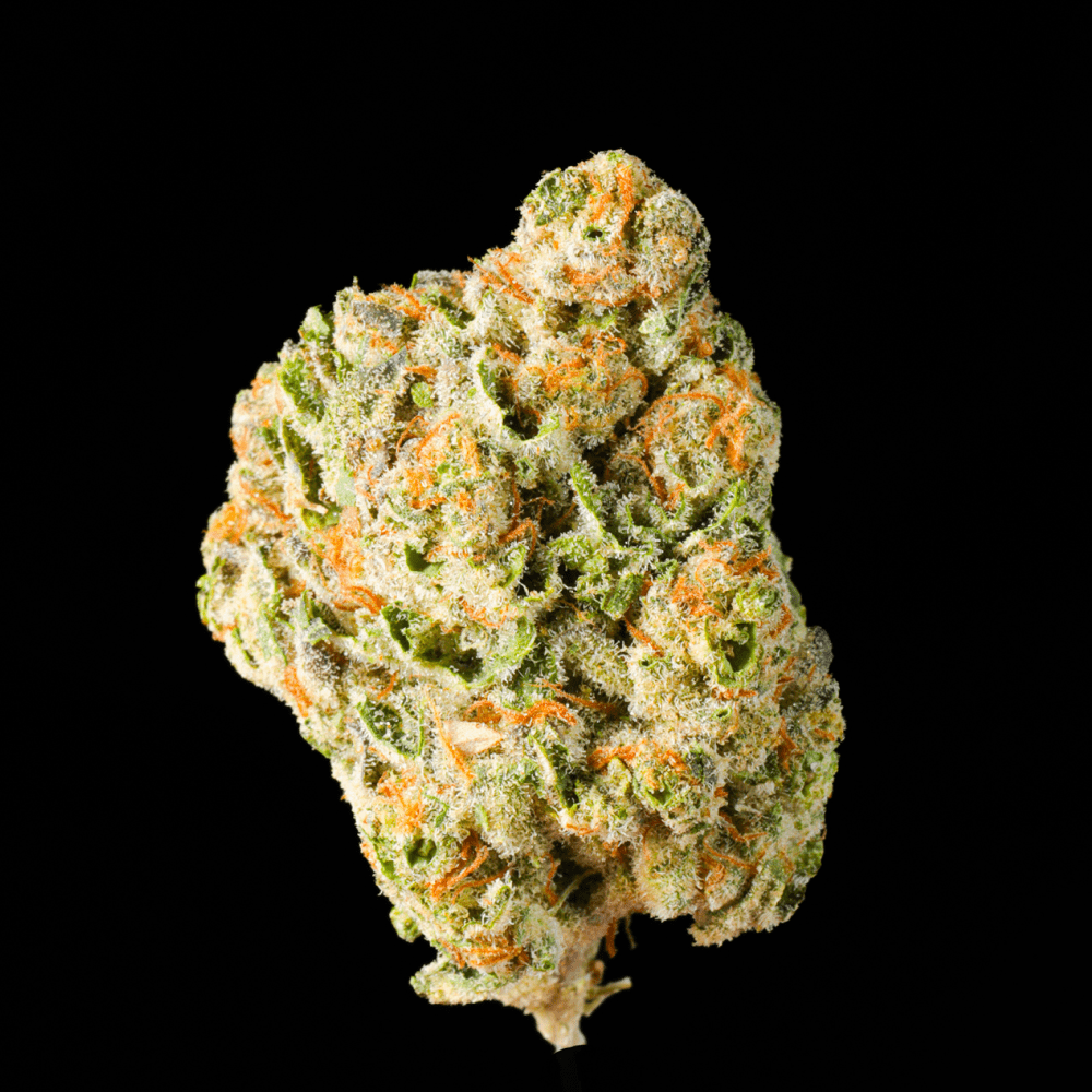 Cheetah Piss THCA Flower - Lost In Translation