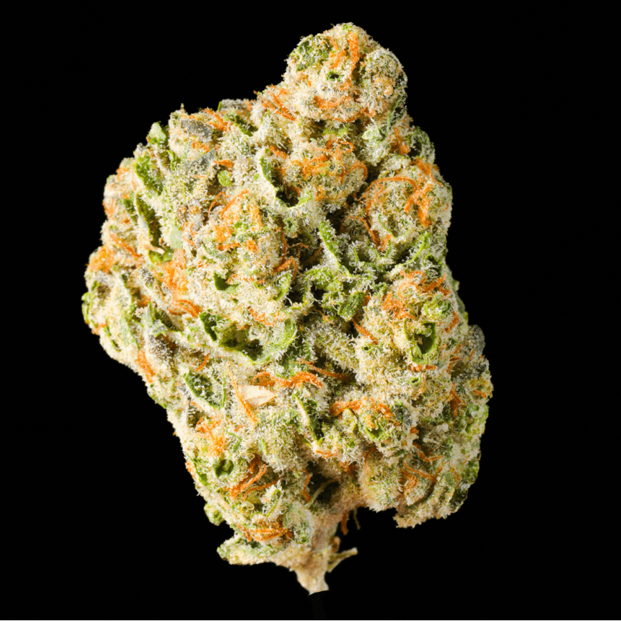 Cheetah Piss THCA Flower - Lost In Translation