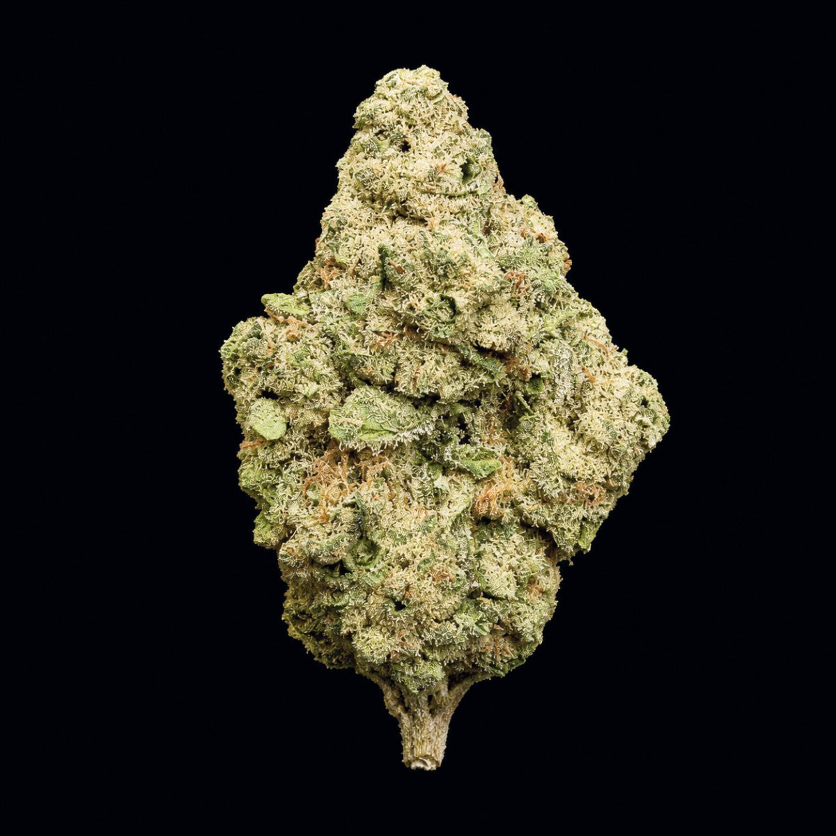 Mile High Slurpee THCA Flower - Lost In Translation