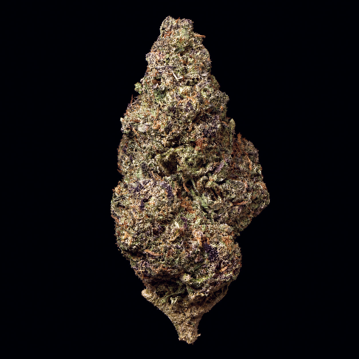 Purple Kush THCA Flower