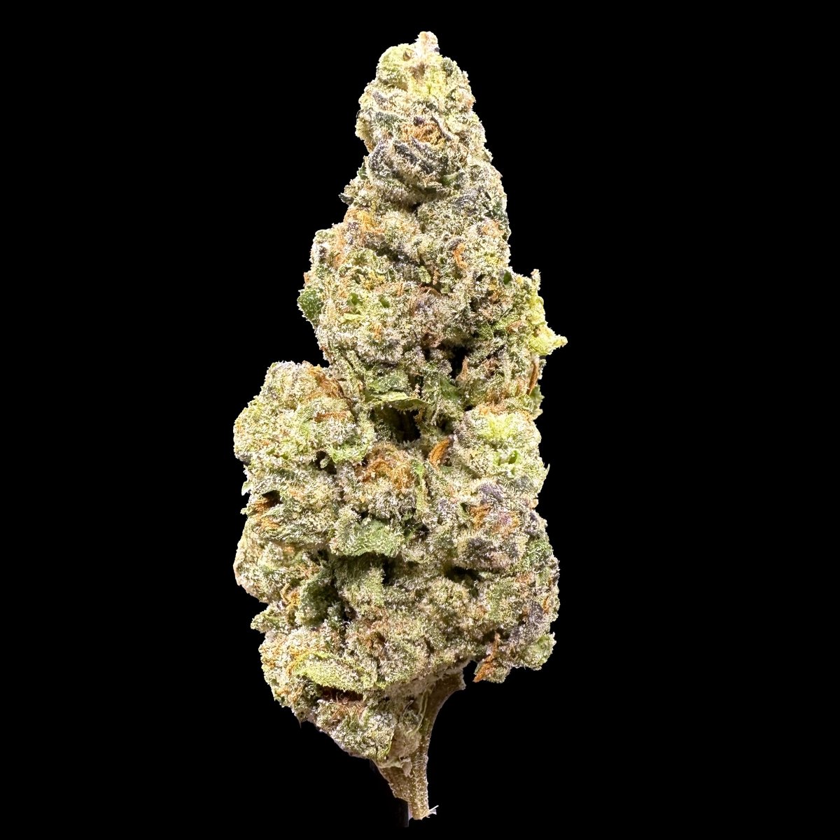 Scented Marker THCA Flower - Lost In Translation