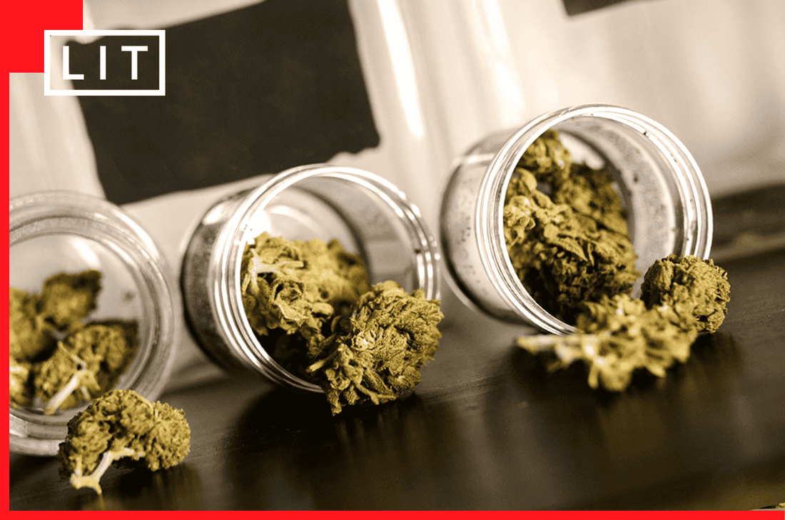 TOP-SHELF THCA FLOWER: WHAT YOU ARE ACTUALLY PAYING FOR - Lost In Translation