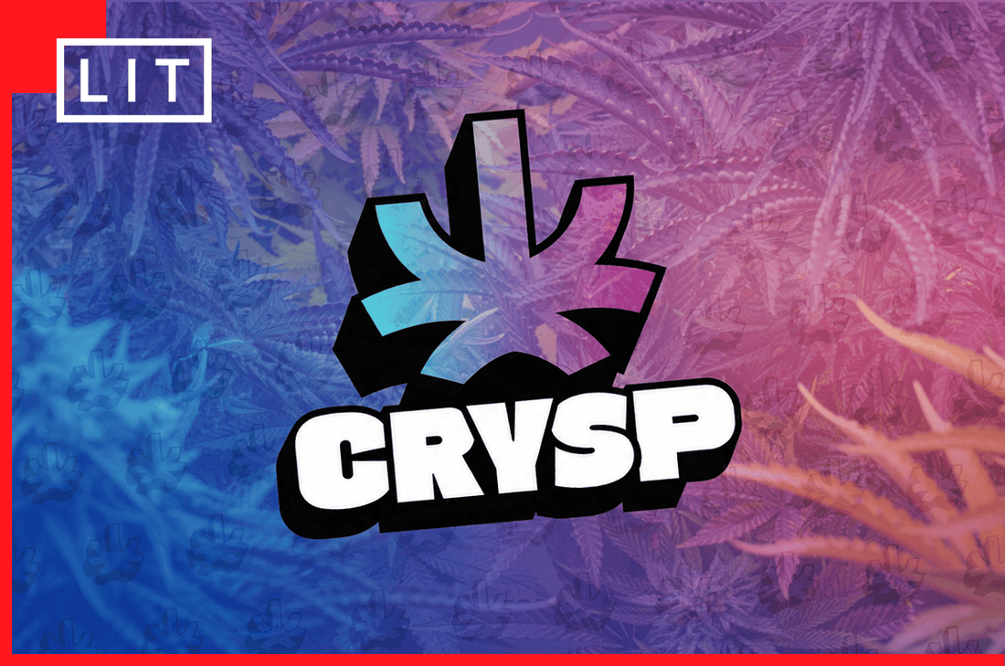 CRYSP THCA ALTERNATIVES: BETTER VALUE FLOWER, VENDOR BY VENDOR - Lost In Translation